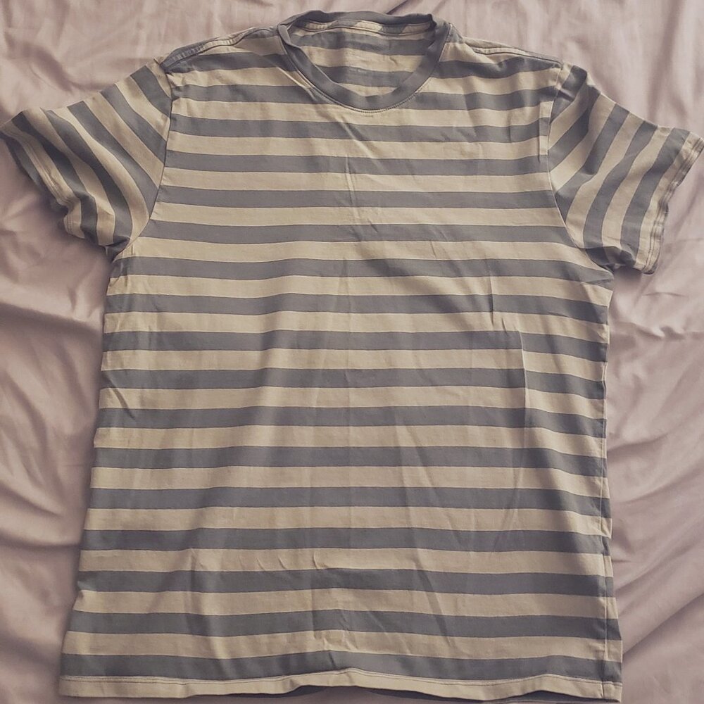 Everlane Organic Cotton Crew Tee Seagrass